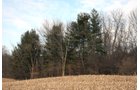 Property photo 2 - REAL ESTATE AUCTION - 84.5+/- ACRES IN 4 TRACTS IN WHITLEY COUNTY, INDIANA